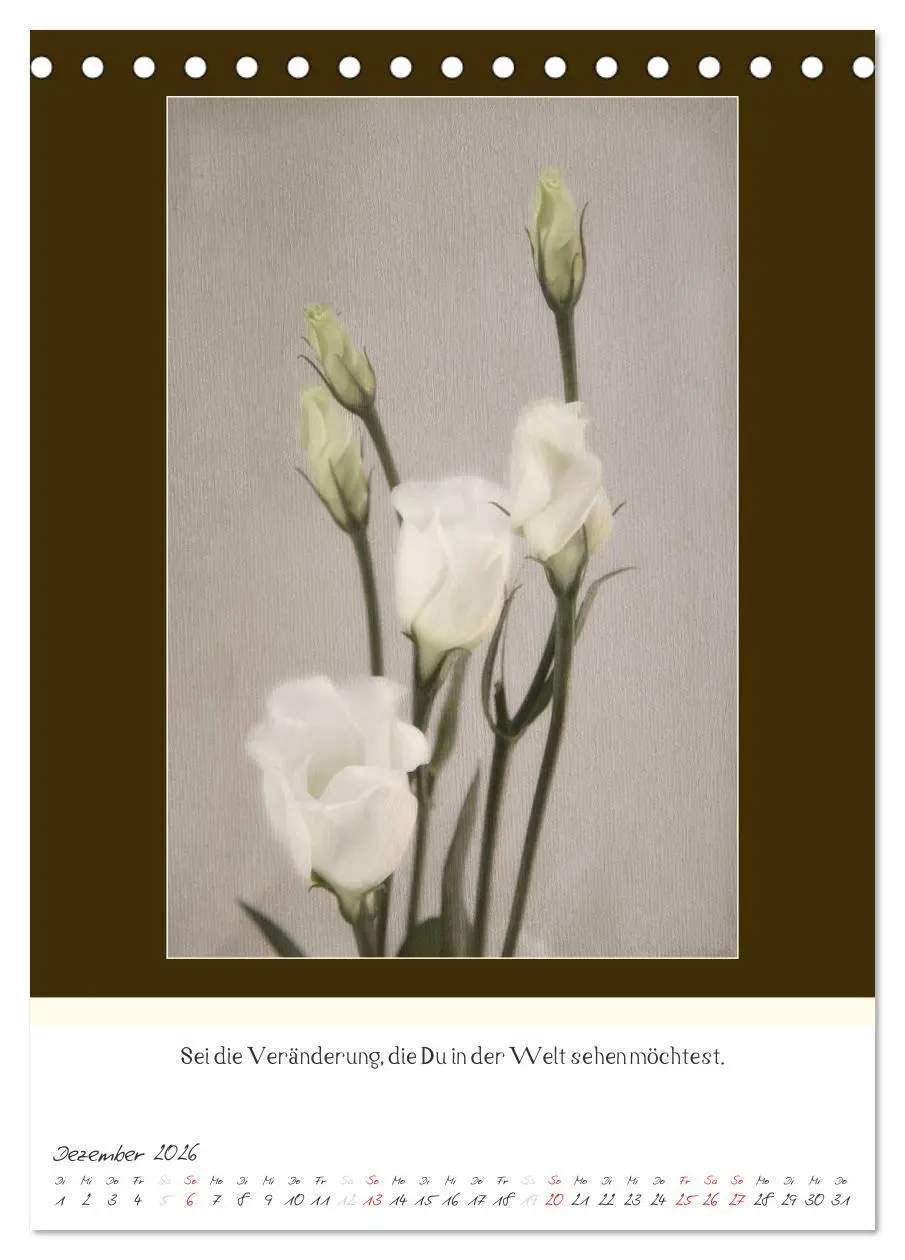 Bild: 9783516463163 | Der Buddhistische Weisheiten Kalender (Tischkalender 2026 DIN A5...