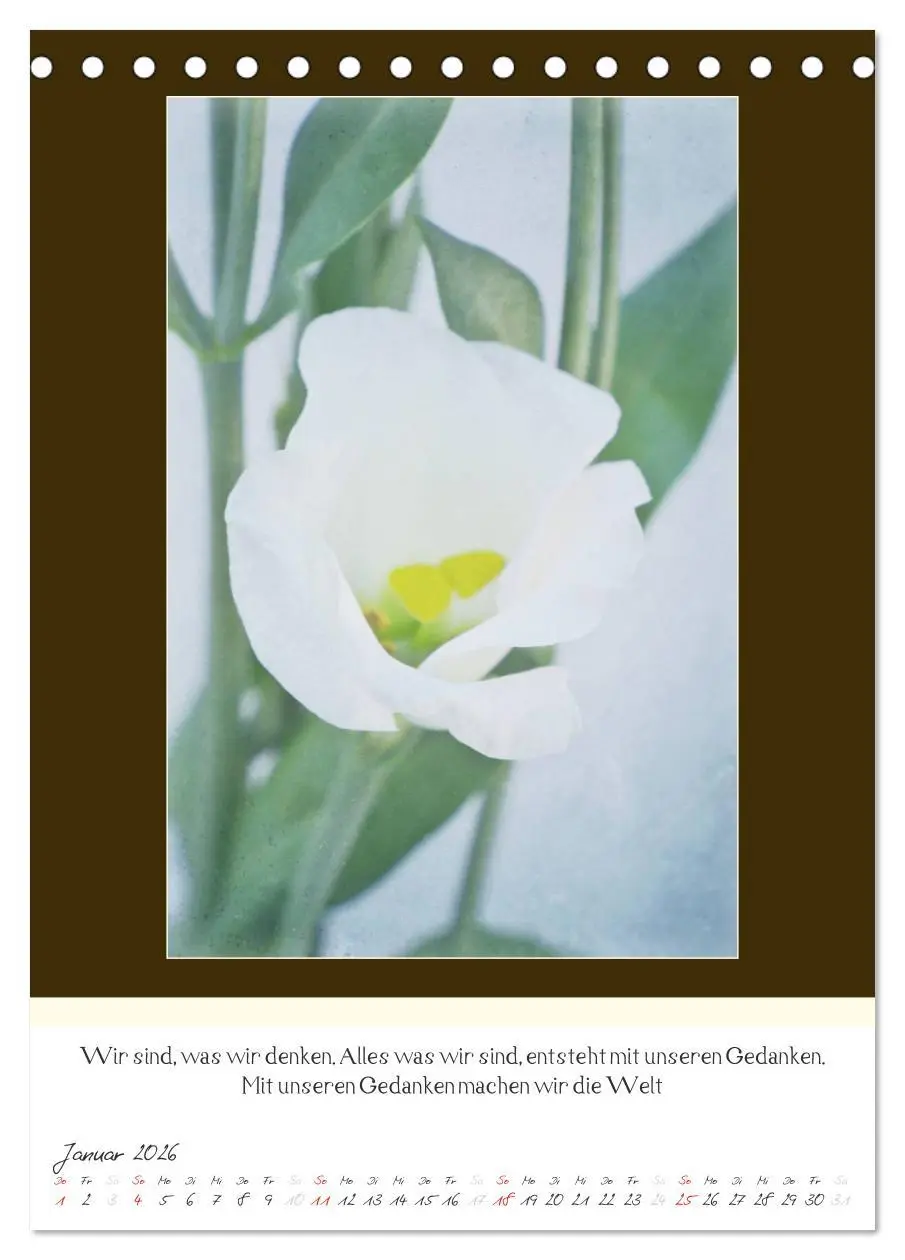 Bild: 9783516463163 | Der Buddhistische Weisheiten Kalender (Tischkalender 2026 DIN A5...