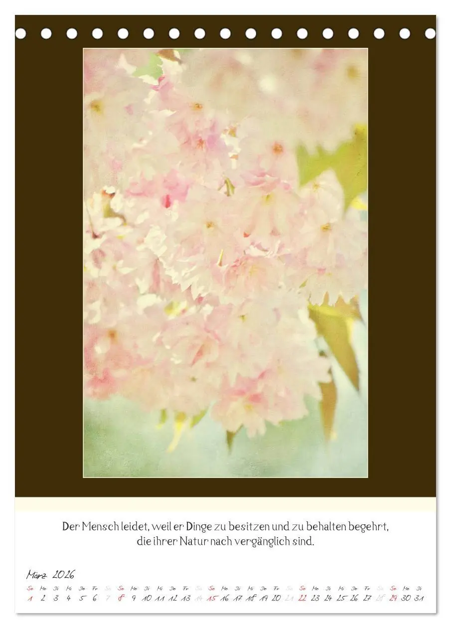 Bild: 9783516463163 | Der Buddhistische Weisheiten Kalender (Tischkalender 2026 DIN A5...