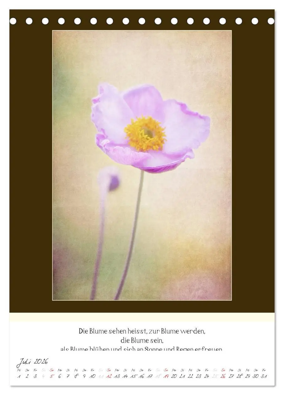 Bild: 9783516463163 | Der Buddhistische Weisheiten Kalender (Tischkalender 2026 DIN A5...