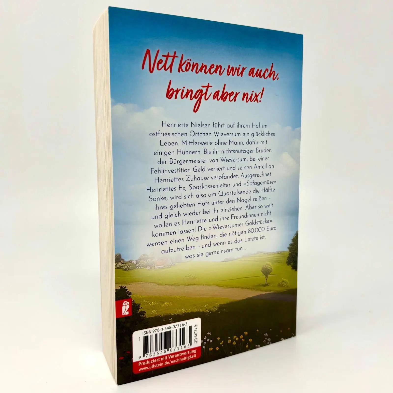 Bild: 9783548073163 | Henriette räumt auf | Meike Paulsen | Taschenbuch | 352 S. | Deutsch