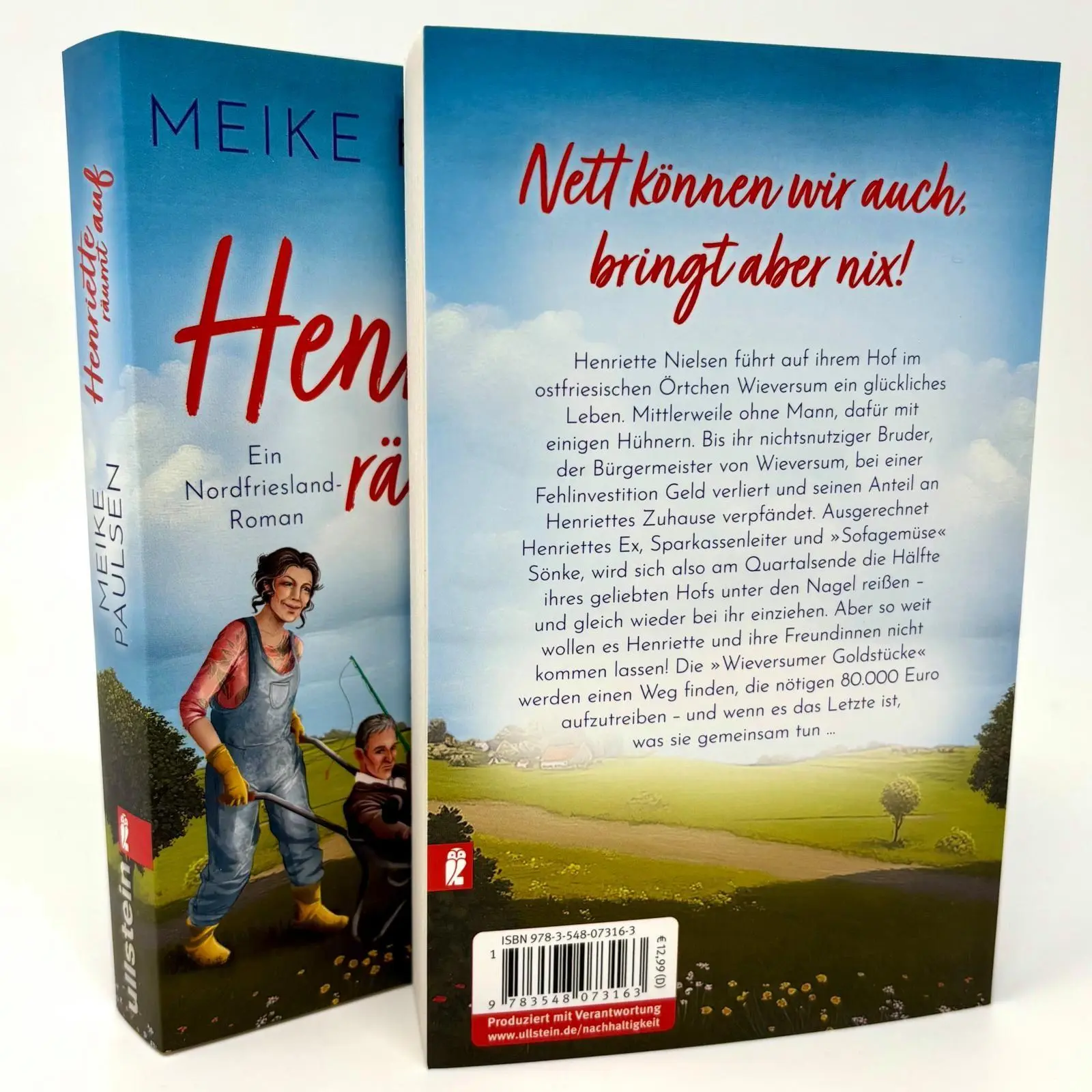 Bild: 9783548073163 | Henriette räumt auf | Meike Paulsen | Taschenbuch | 352 S. | Deutsch