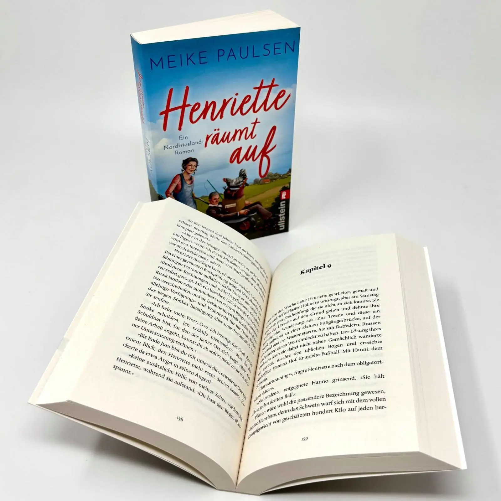 Bild: 9783548073163 | Henriette räumt auf | Meike Paulsen | Taschenbuch | 352 S. | Deutsch