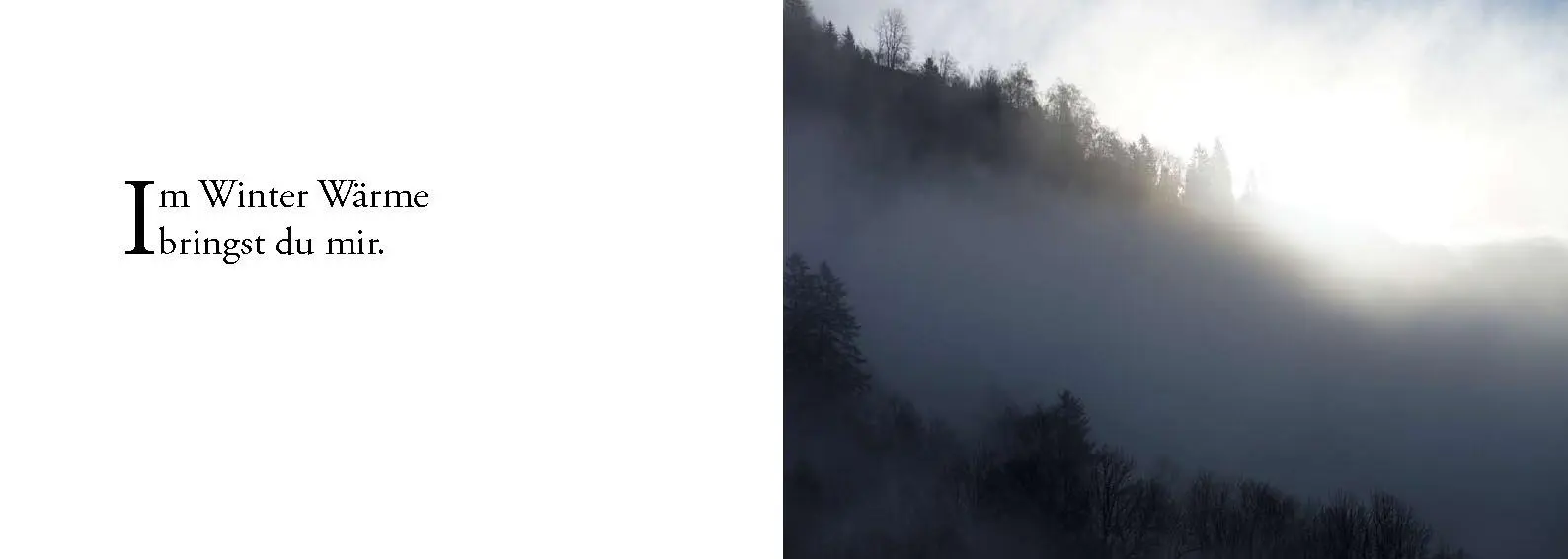 Bild: 9783902943163 | Die Sonne sucht dich - Das Foto-Meditationsbuch für eine gute...