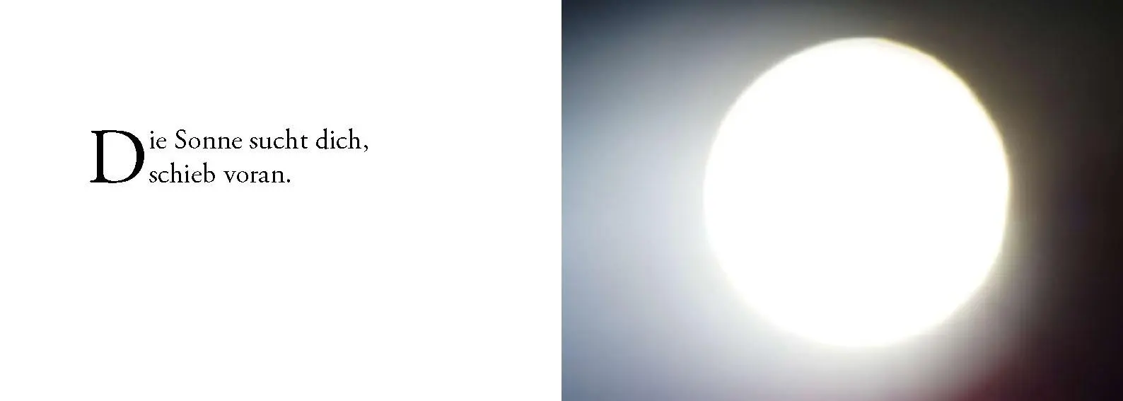 Bild: 9783902943163 | Die Sonne sucht dich - Das Foto-Meditationsbuch für eine gute...