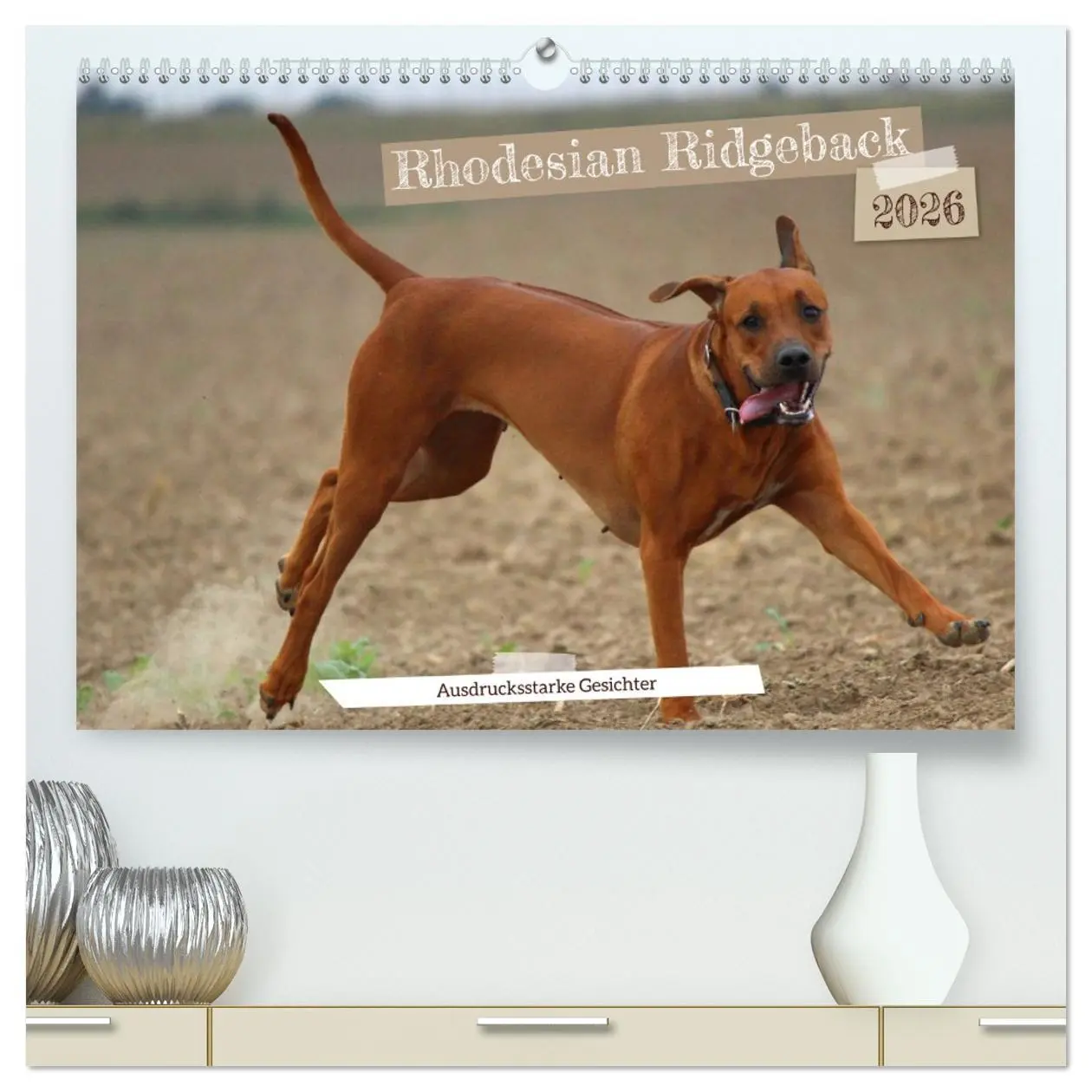 Cover: 9783457433263 | Rhodesian Ridgeback - Ausdrucksstarke Gesichter (hochwertiger...