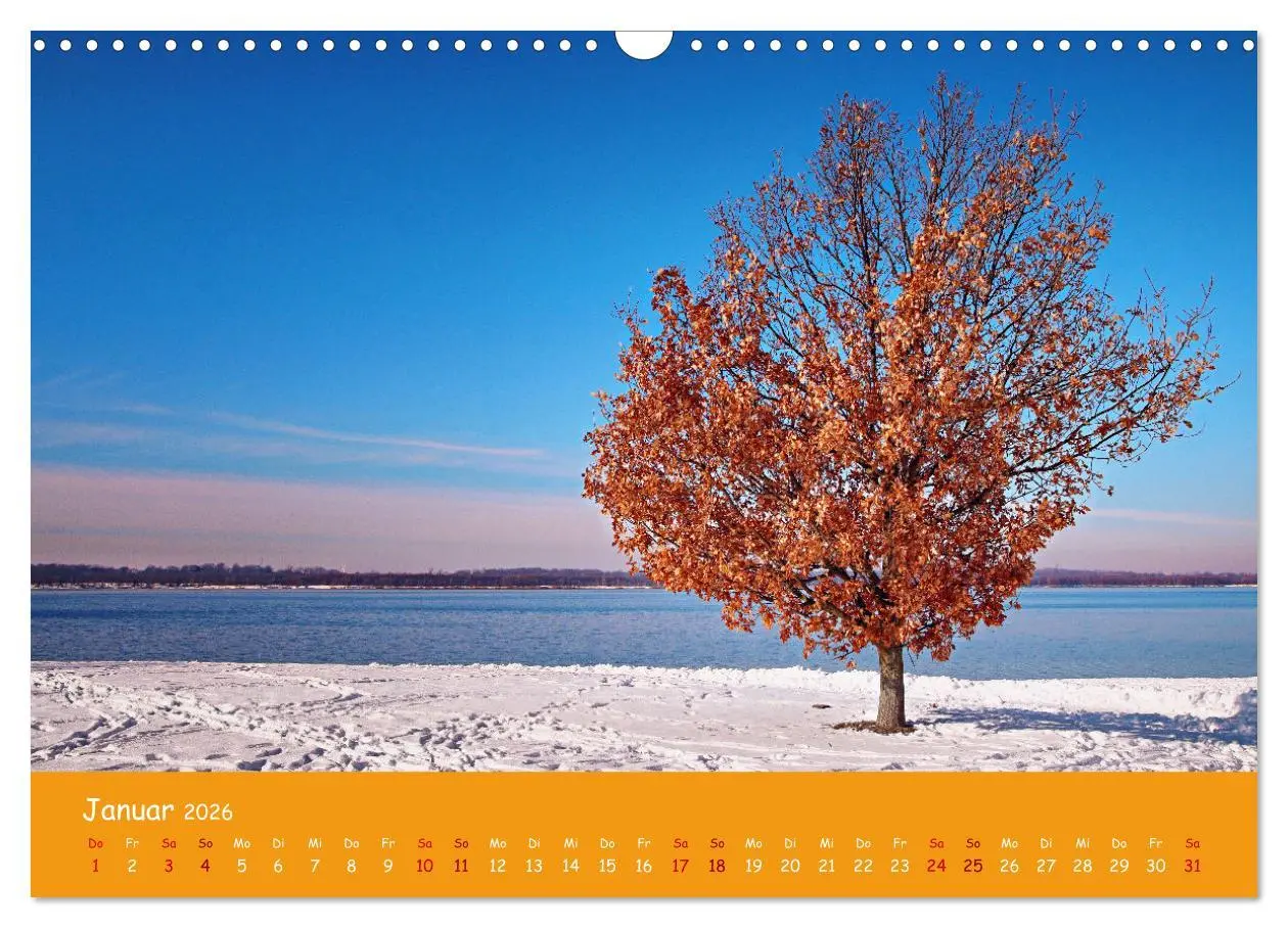 Bild: 9783457503263 | Mein Cospudener See (Wandkalender 2026 DIN A3 quer), CALVENDO...