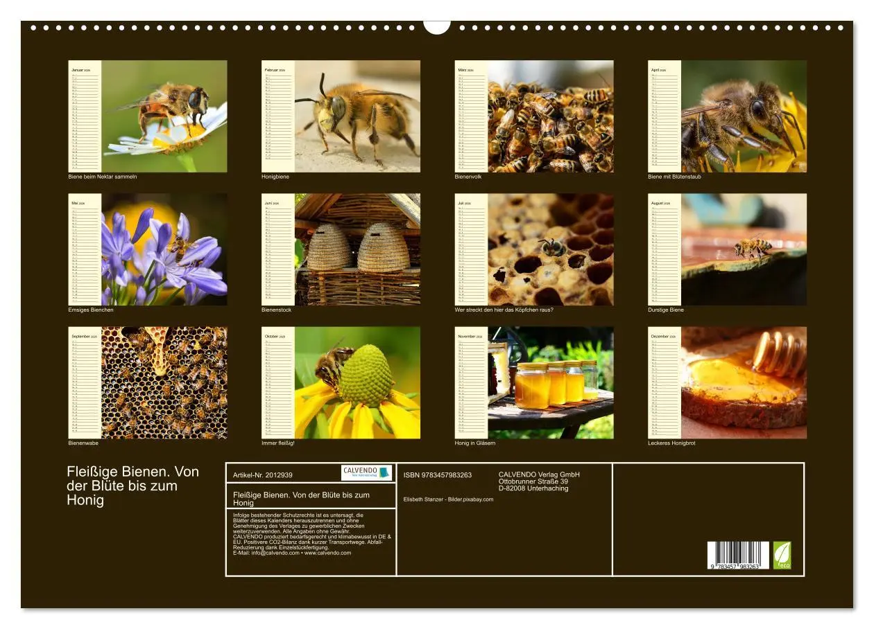 Bild: 9783457983263 | Fleißige Bienen. Von der Blüte bis zum Honig (Wandkalender 2026 DIN...