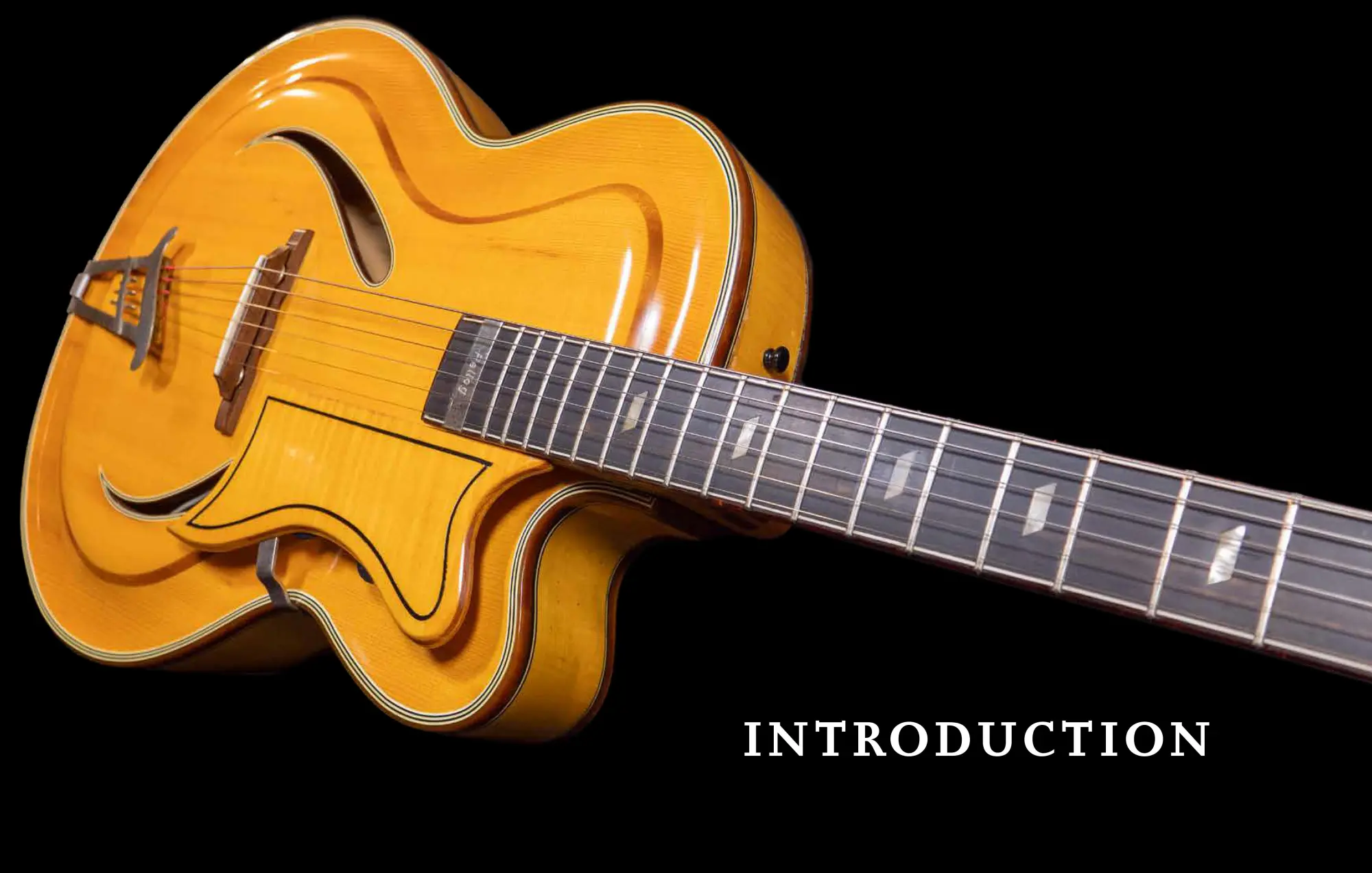 Bild: 9783283013363 | German Jazz Guitars | Cameron Brown (u. a.) | Buch | 288 S. | Englisch