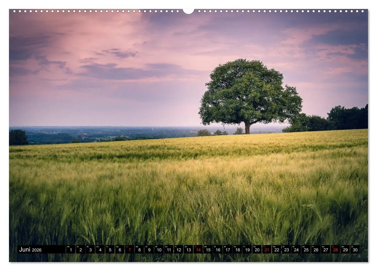 Bild: 9783457663363 | Das Münsterland - Meine Impressionen (hochwertiger Premium...