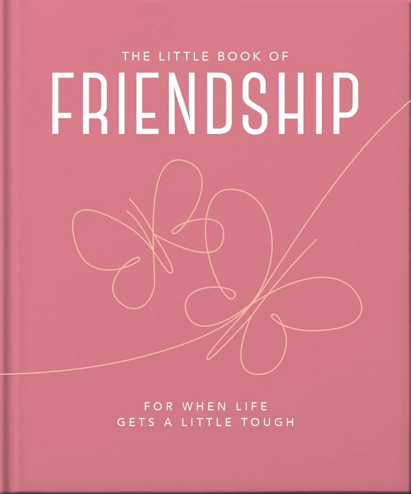 Cover: 9781800693463 | The Little Book of Friendship | For When Life Gets a Little Tough