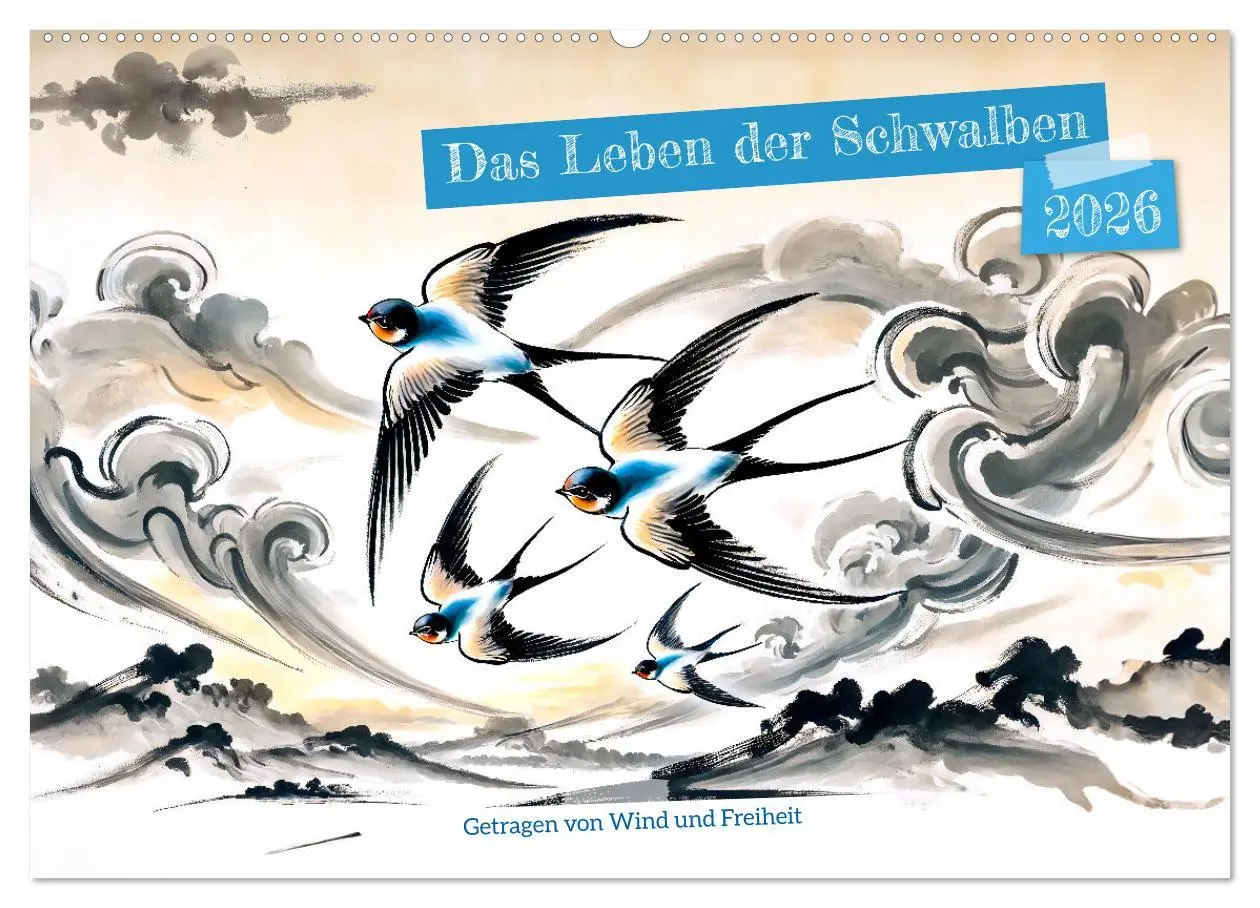 Cover: 9783457343463 | Das Leben der Schwalben - Getragen von Wind und Freiheit...