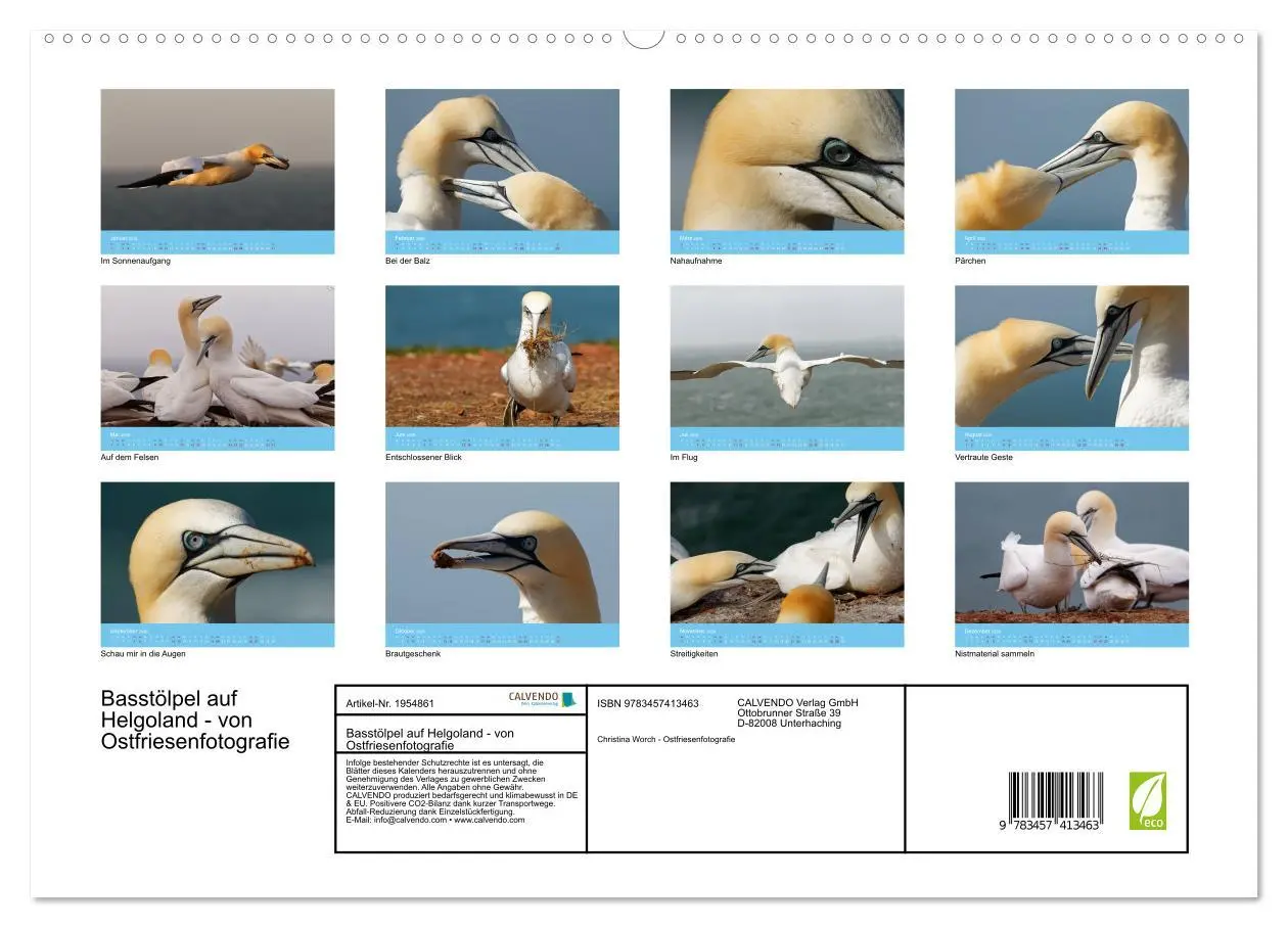 Bild: 9783457413463 | Basstölpel auf Helgoland - von Ostfriesenfotografie (hochwertiger...