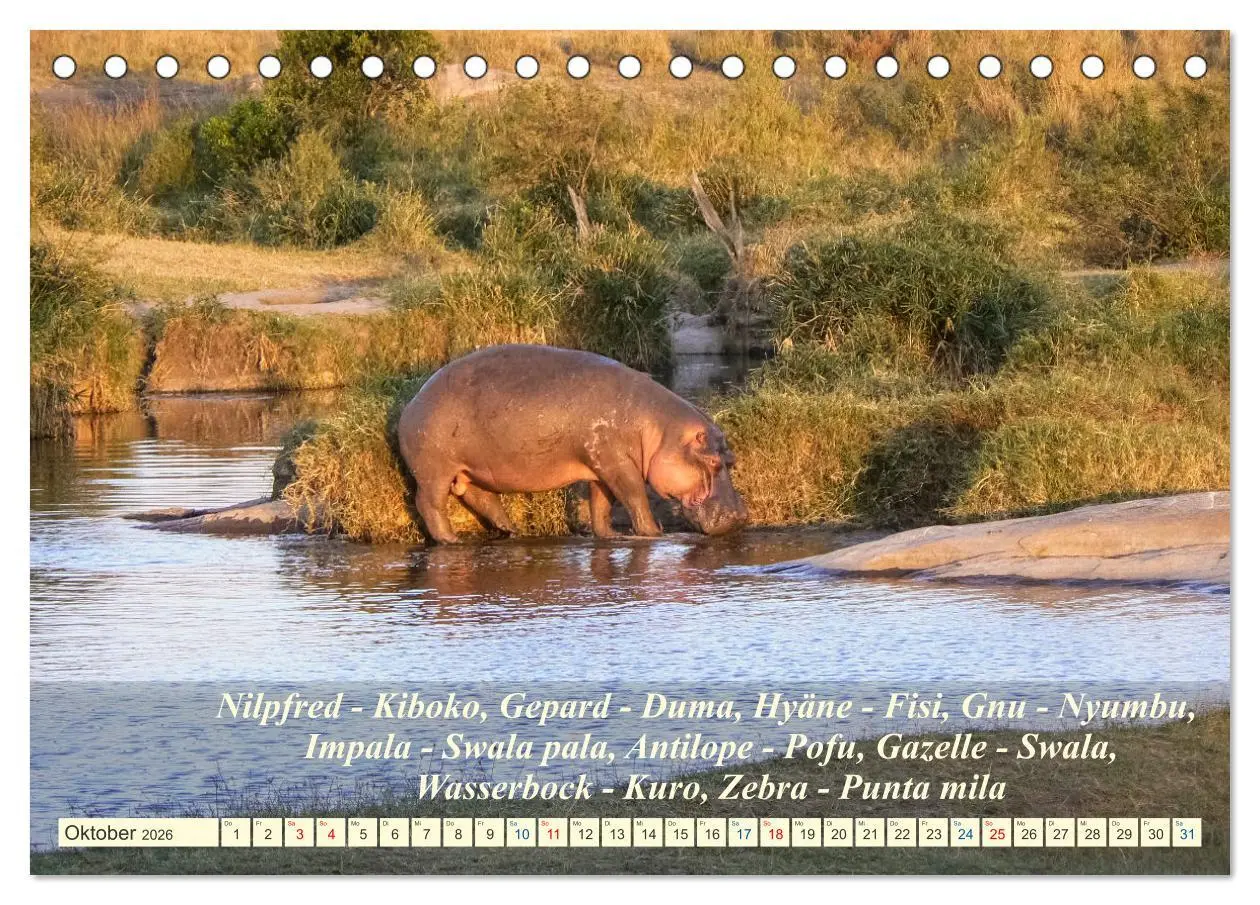 Bild: 9783457653463 | Jambo Kenya (Tischkalender 2026 DIN A5 quer), CALVENDO Monatskalender