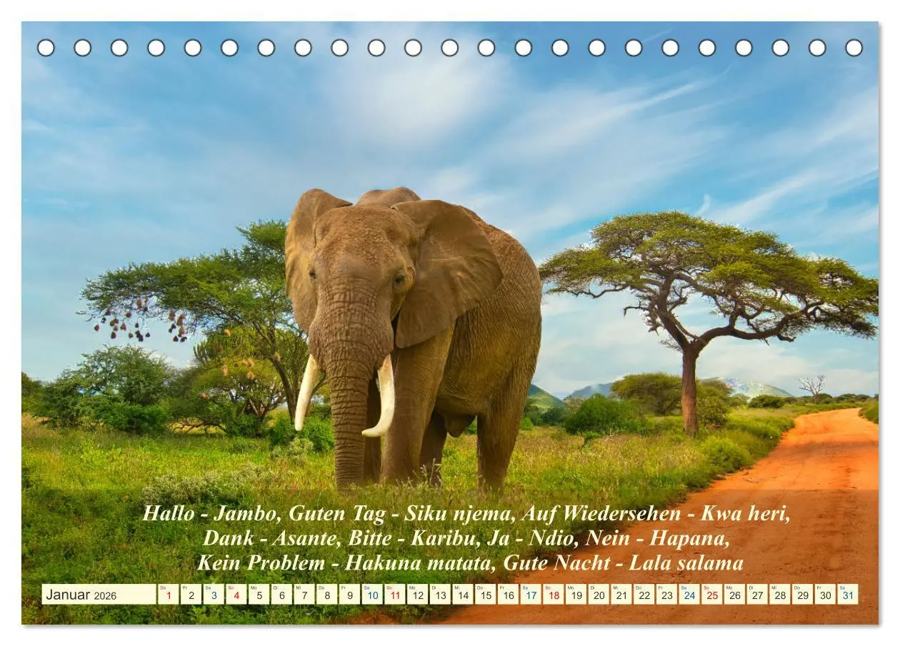Bild: 9783457653463 | Jambo Kenya (Tischkalender 2026 DIN A5 quer), CALVENDO Monatskalender