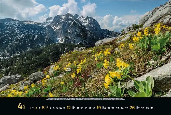 Bild: 9783731883463 | Faszination Alpen 2026 | Verlag Korsch | Kalender | 14 S. | Deutsch
