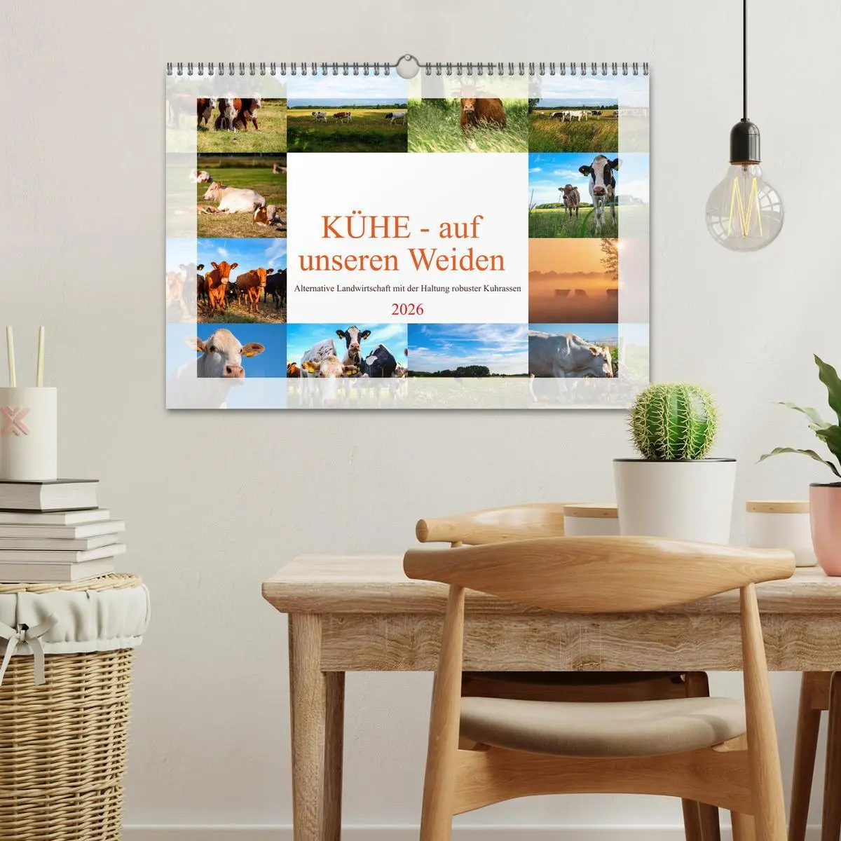 Bild: 9783457573563 | Kühe - auf unseren Weiden (Wandkalender 2026 DIN A3 quer), CALVENDO...