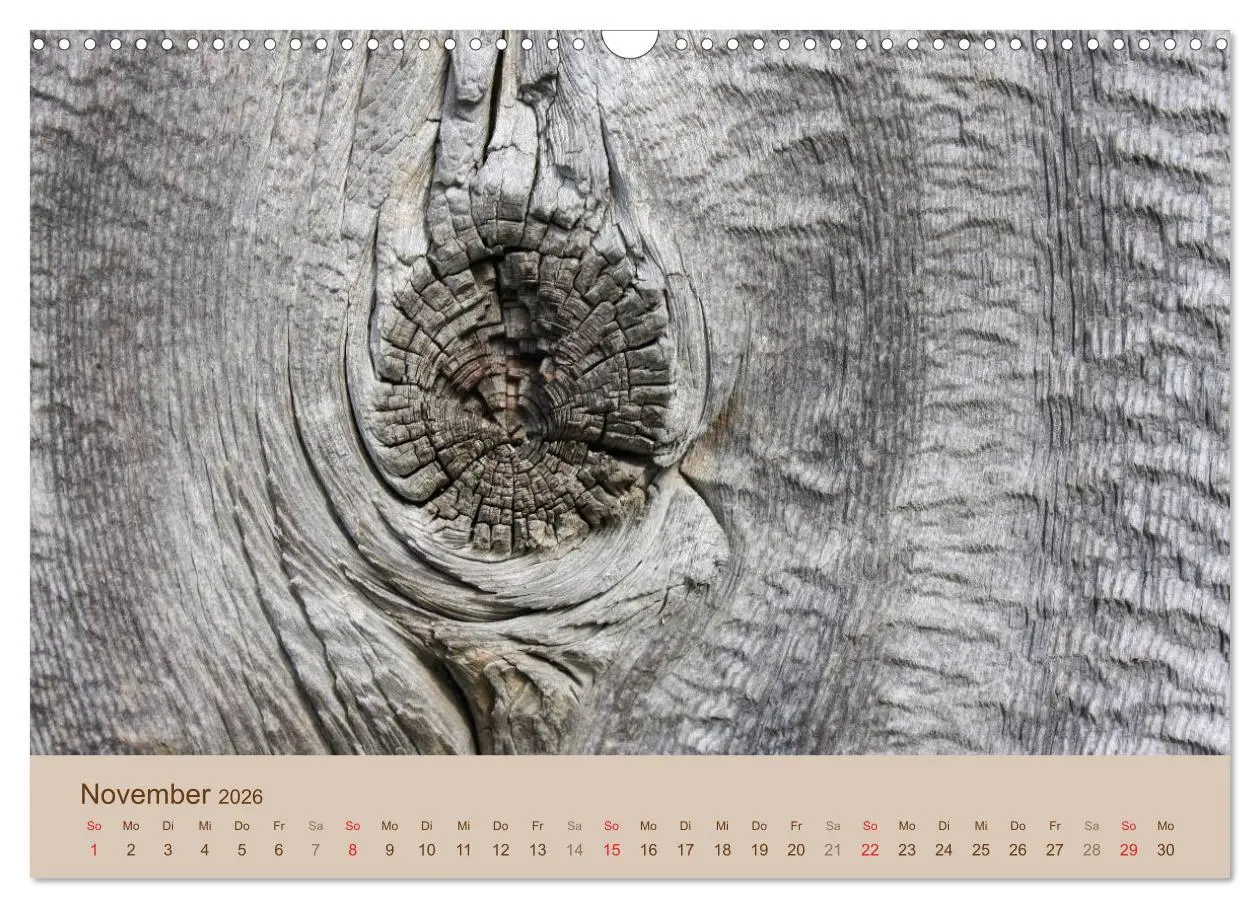 Bild: 9783457953563 | Farben des Holzes (Wandkalender 2026 DIN A3 quer), CALVENDO...