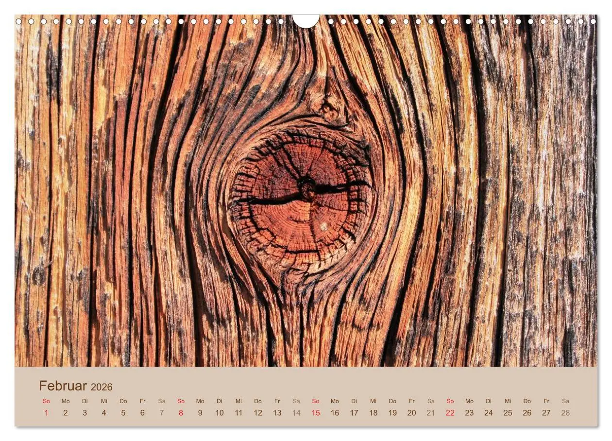 Bild: 9783457953563 | Farben des Holzes (Wandkalender 2026 DIN A3 quer), CALVENDO...