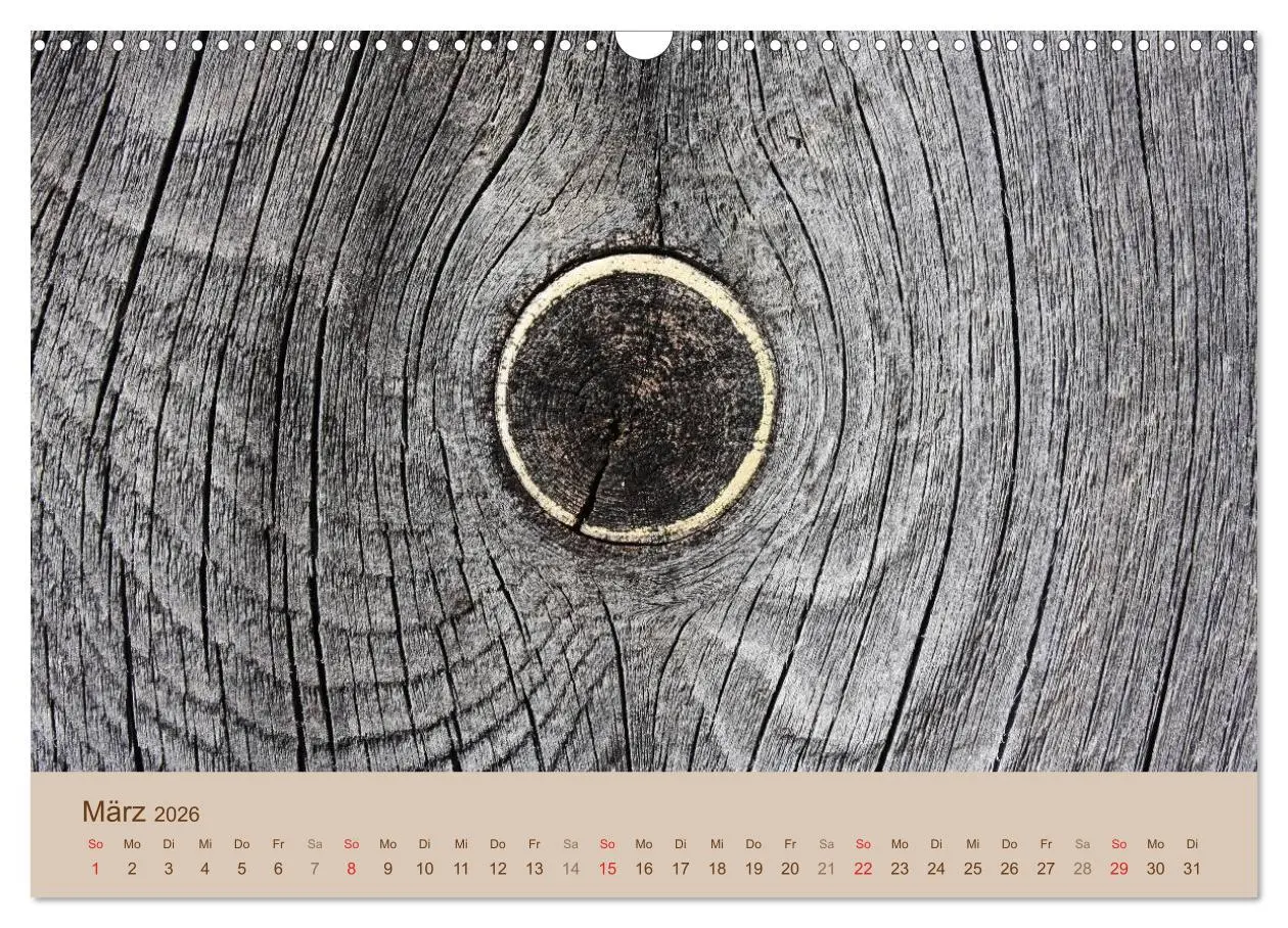 Bild: 9783457953563 | Farben des Holzes (Wandkalender 2026 DIN A3 quer), CALVENDO...