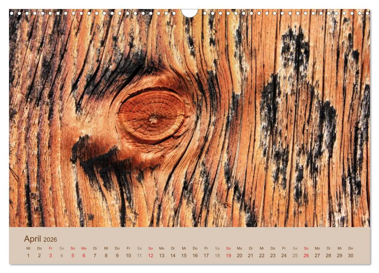 Bild: 9783457953563 | Farben des Holzes (Wandkalender 2026 DIN A3 quer), CALVENDO...