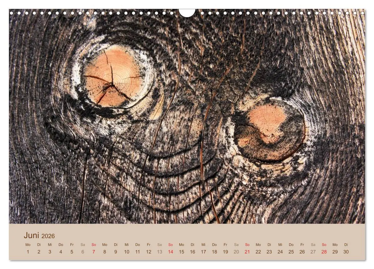 Bild: 9783457953563 | Farben des Holzes (Wandkalender 2026 DIN A3 quer), CALVENDO...