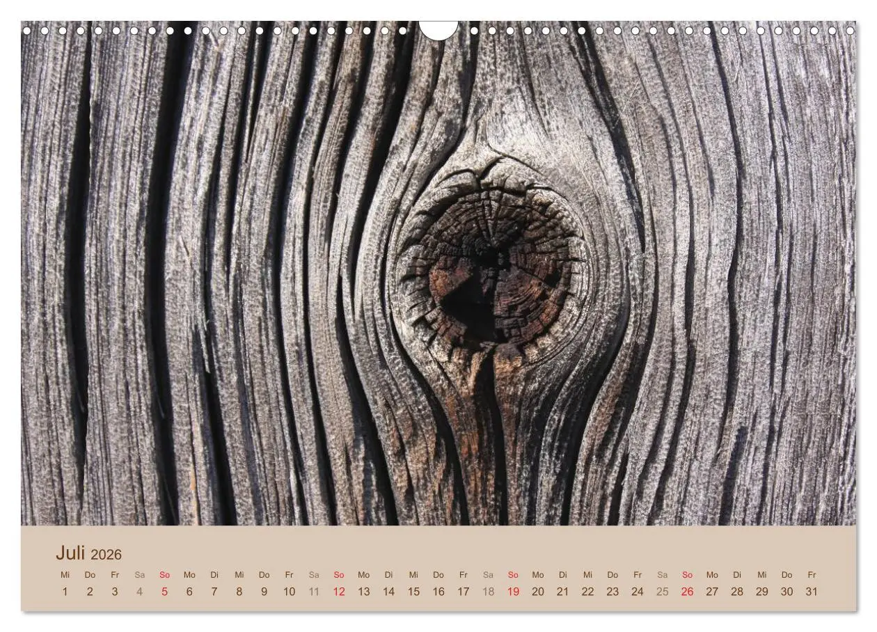 Bild: 9783457953563 | Farben des Holzes (Wandkalender 2026 DIN A3 quer), CALVENDO...