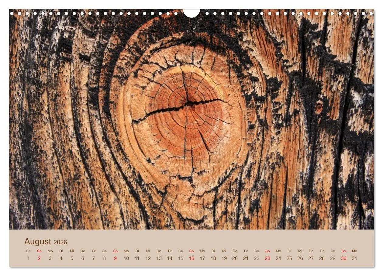 Bild: 9783457953563 | Farben des Holzes (Wandkalender 2026 DIN A3 quer), CALVENDO...