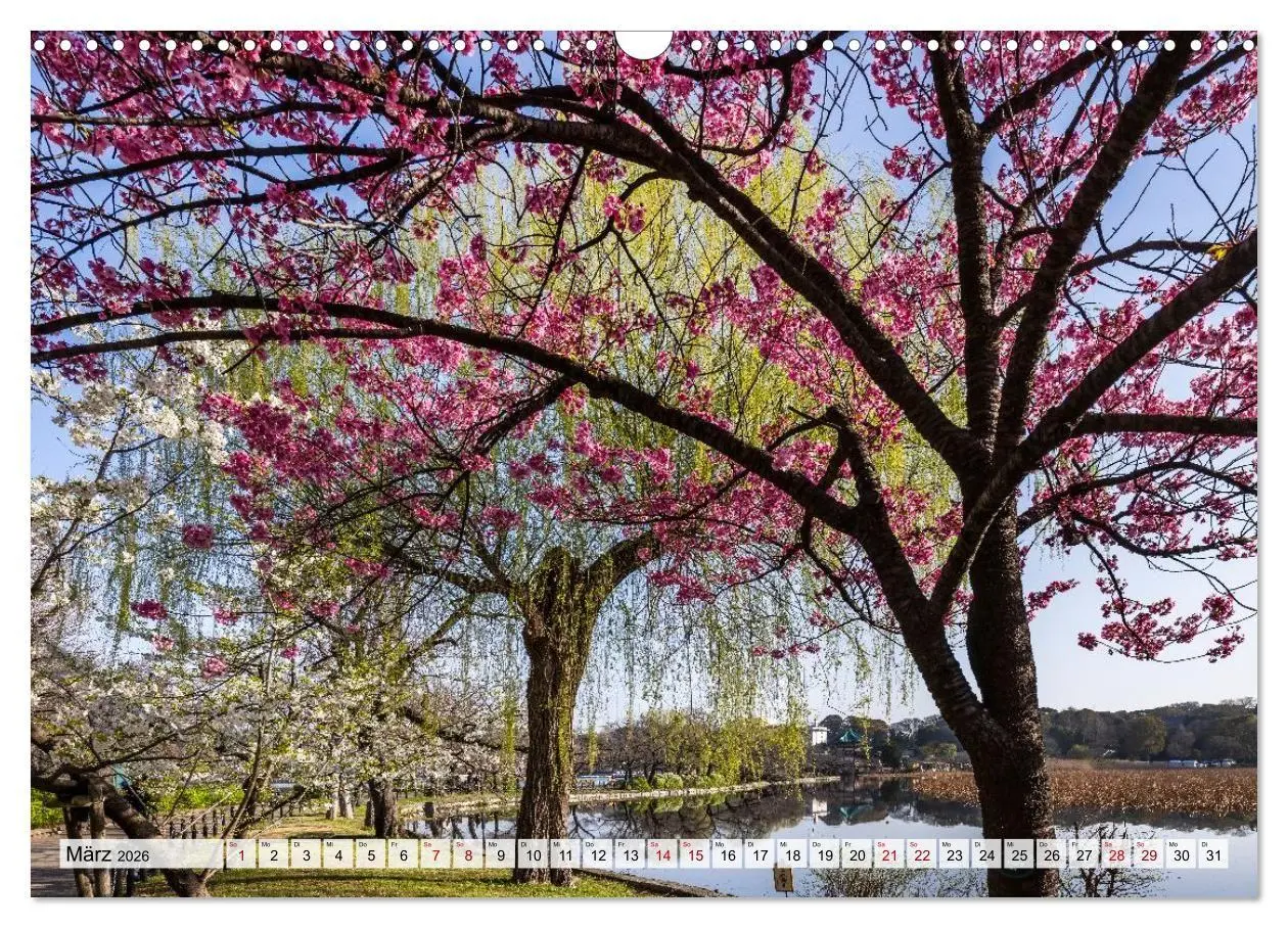 Bild: 9783516663563 | Tokio - Das Herz Japans (Wandkalender 2026 DIN A3 quer), CALVENDO...