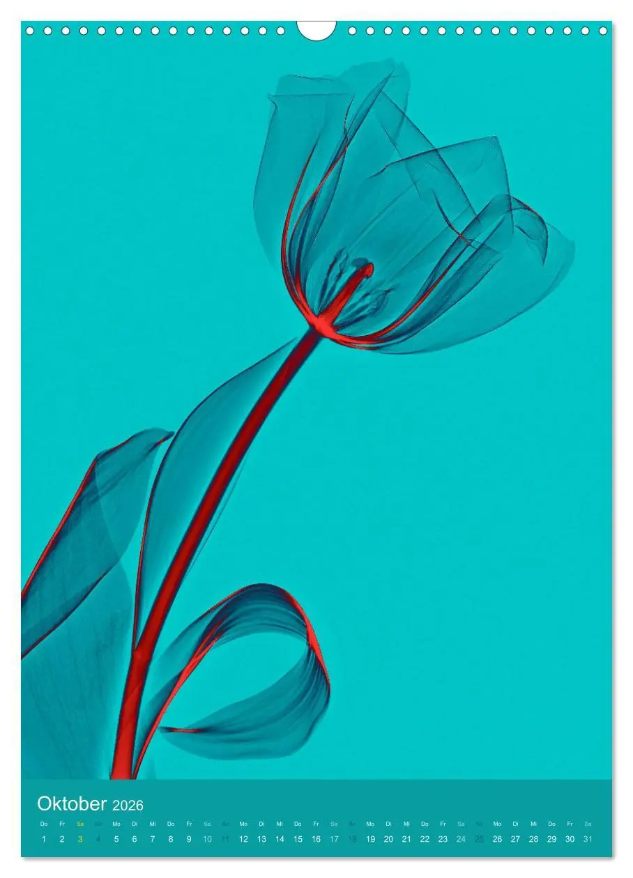 Bild: 9783516343663 | Durchleuchtete Blumenwelt 2026 (Wandkalender 2026 DIN A3 hoch),...