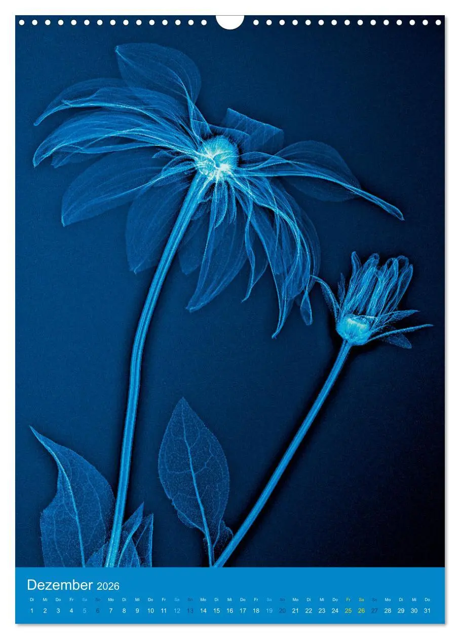 Bild: 9783516343663 | Durchleuchtete Blumenwelt 2026 (Wandkalender 2026 DIN A3 hoch),...