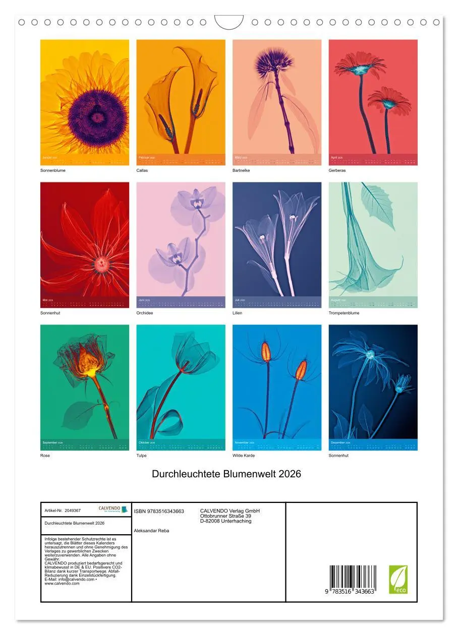 Bild: 9783516343663 | Durchleuchtete Blumenwelt 2026 (Wandkalender 2026 DIN A3 hoch),...