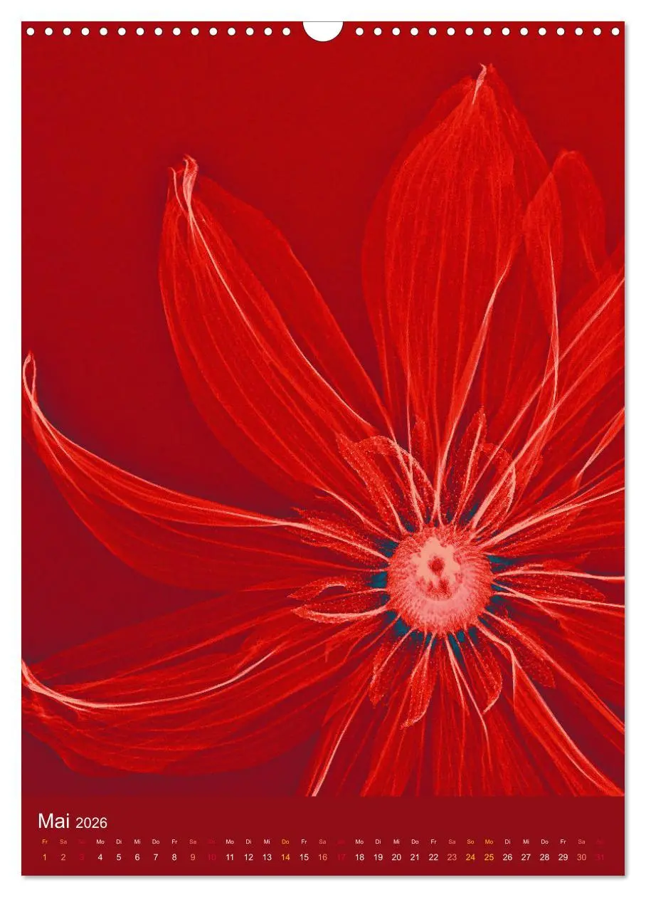 Bild: 9783516343663 | Durchleuchtete Blumenwelt 2026 (Wandkalender 2026 DIN A3 hoch),...