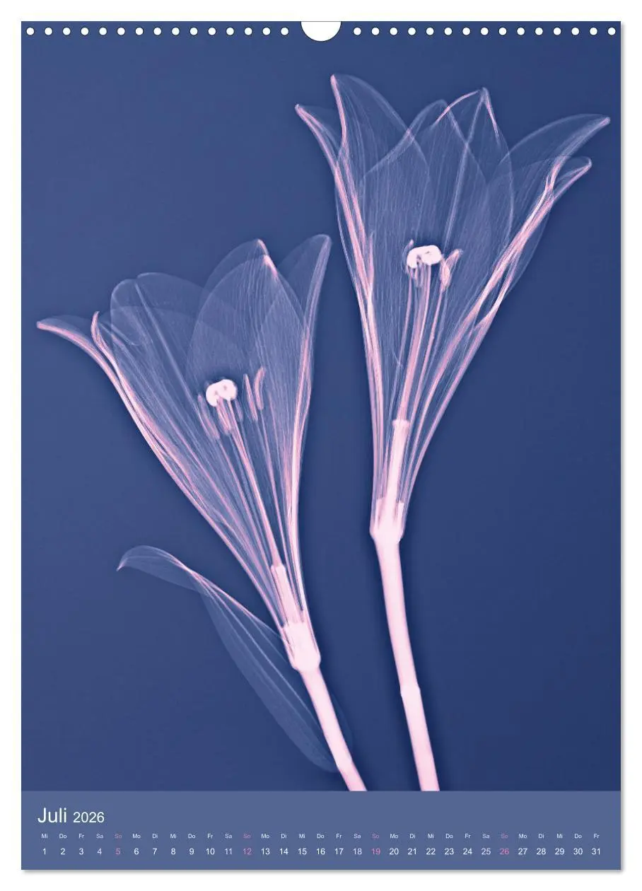 Bild: 9783516343663 | Durchleuchtete Blumenwelt 2026 (Wandkalender 2026 DIN A3 hoch),...
