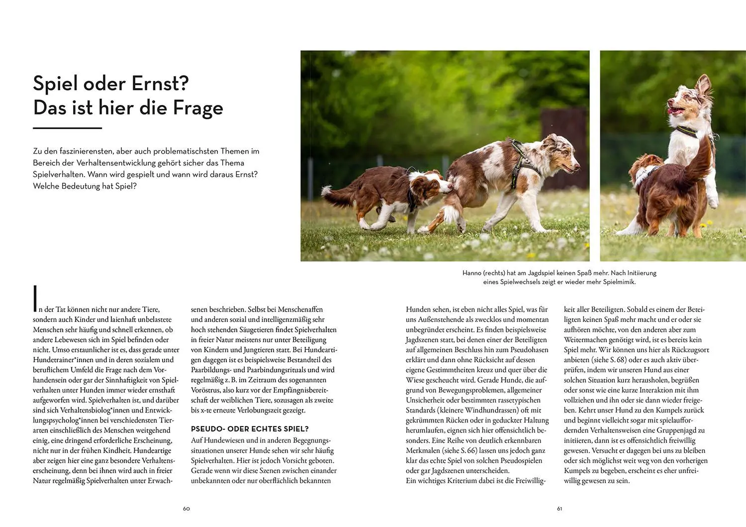 Bild: 9783440173763 | Moderne Welpenerziehung | Udo Gansloßer (u. a.) | Taschenbuch | 208 S.