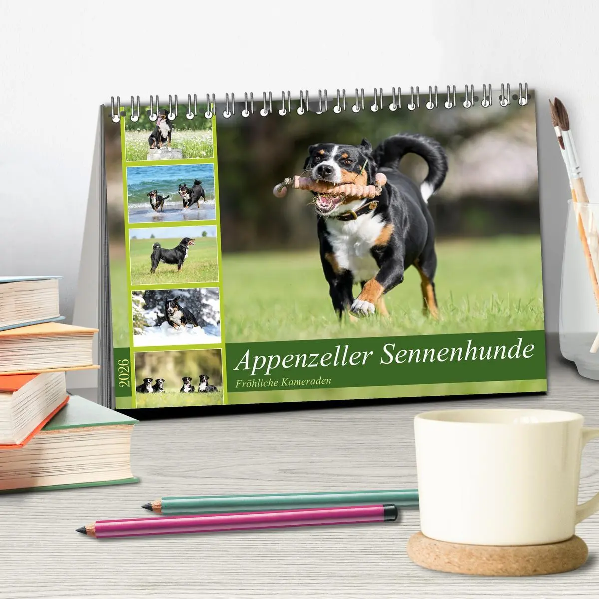 Bild: 9783457483763 | Appenzeller Sennenhunde - Fröhliche Kameraden (Tischkalender 2026...