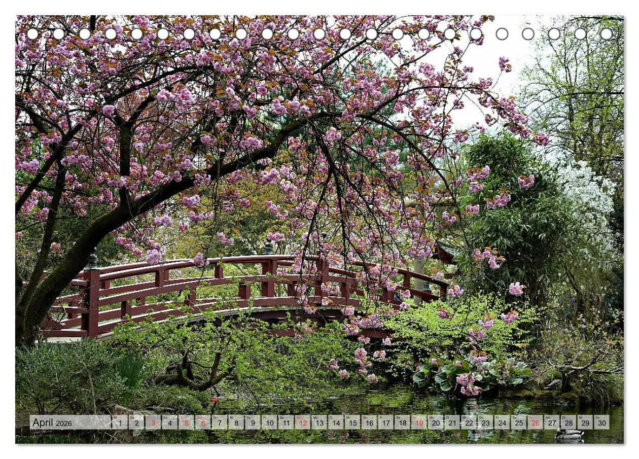 Bild: 9783457793763 | Leverkusen Hitdorf Wiesdorf Opladen (Tischkalender 2026 DIN A5...