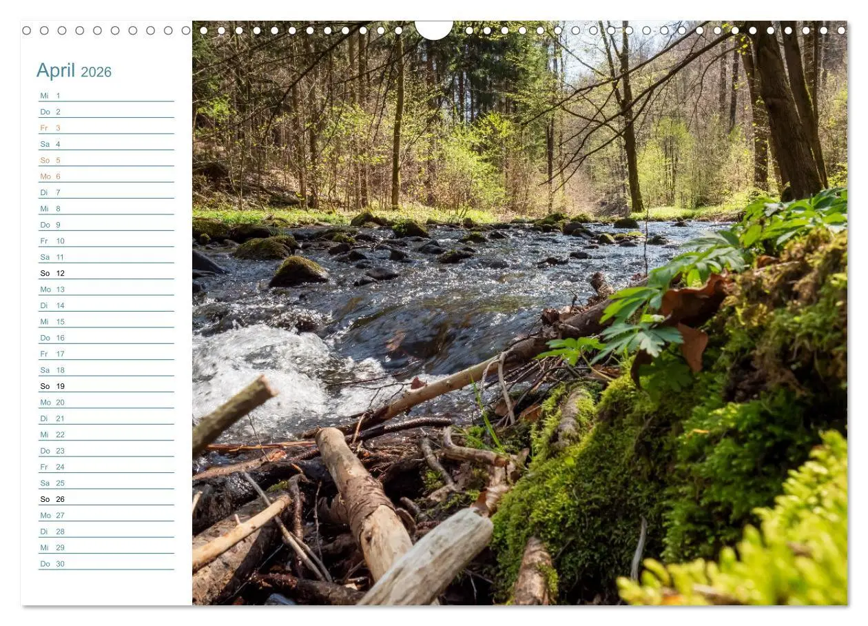 Bild: 9783457543863 | Lebensadern - Elbsandstein (Wandkalender 2026 DIN A3 quer),...