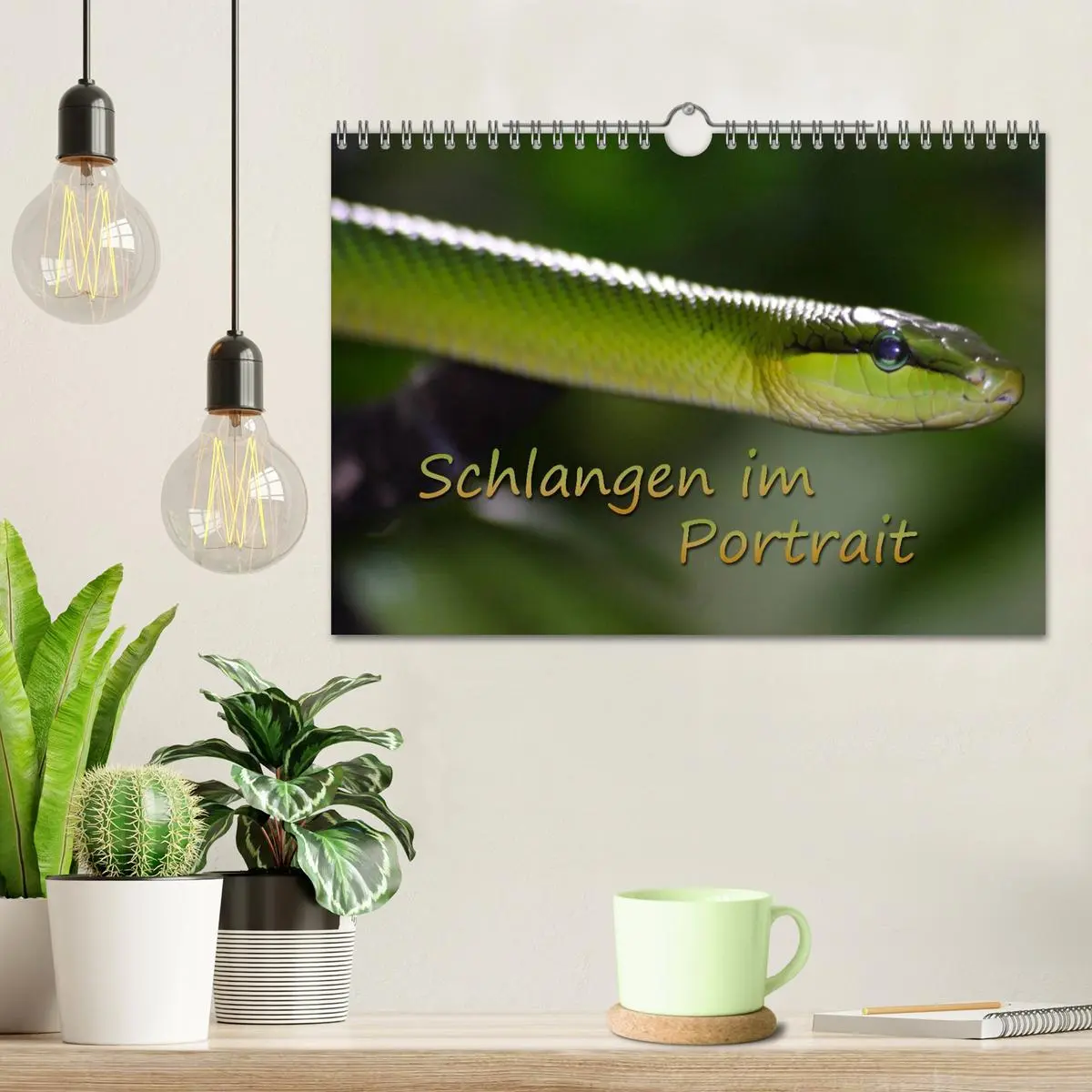 Bild: 9783516183863 | Schlangen im Portrait (Wandkalender 2026 DIN A4 quer), CALVENDO...
