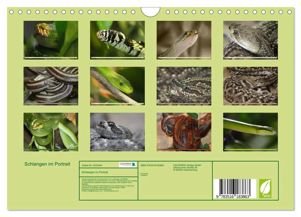 Bild: 9783516183863 | Schlangen im Portrait (Wandkalender 2026 DIN A4 quer), CALVENDO...