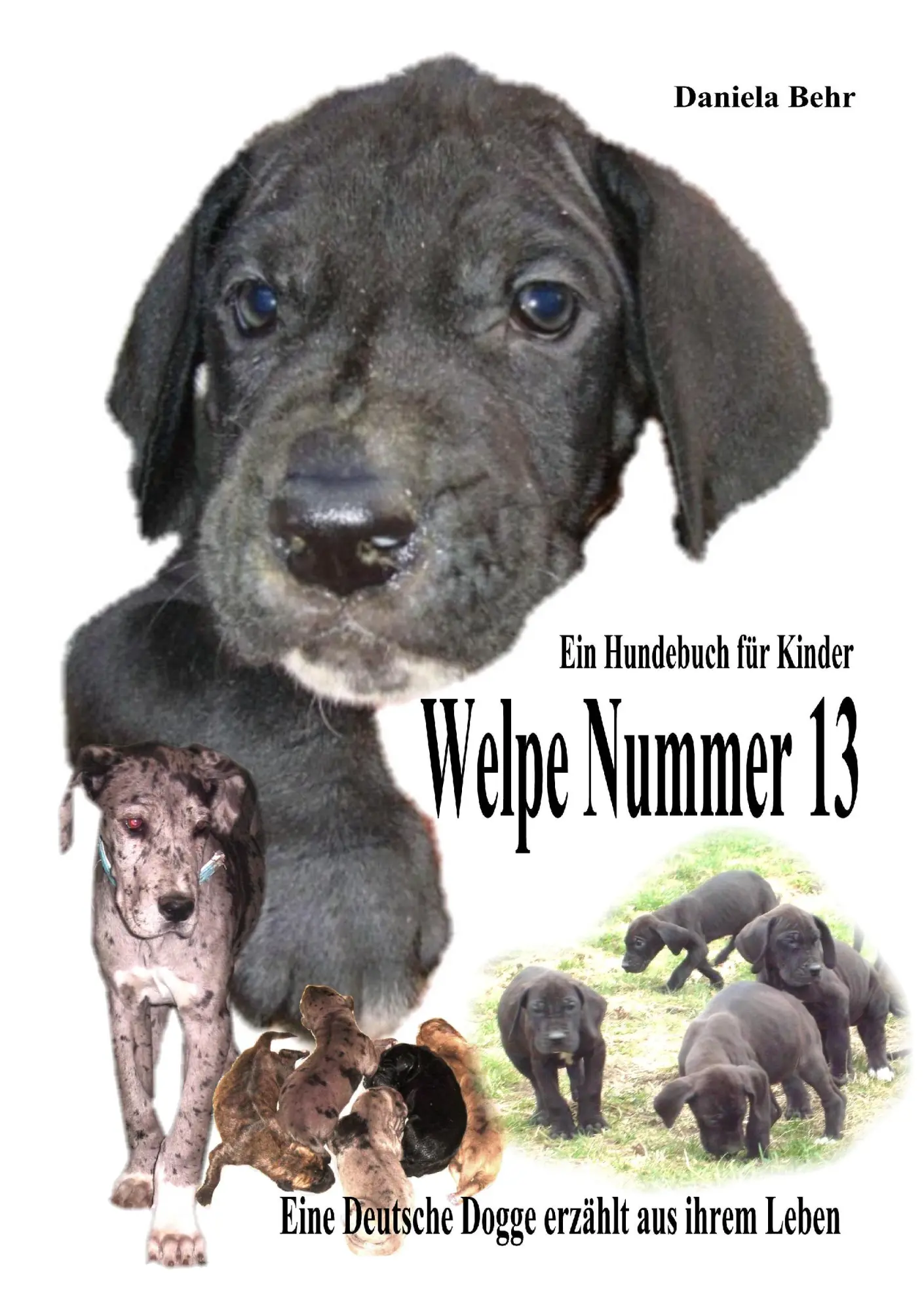 Cover: 9783837013863 | Welpe Nummer 13 Ein Hundekind erzählt aus seinem Leben Die...