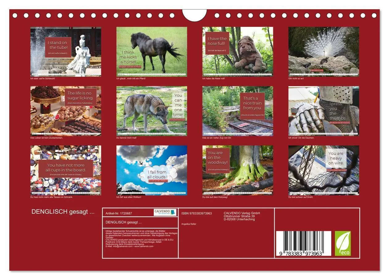 Bild: 9783383973963 | DENGLISCH gesagt ... (Wandkalender 2025 DIN A4 quer), CALVENDO...