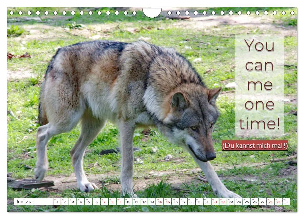 Bild: 9783383973963 | DENGLISCH gesagt ... (Wandkalender 2025 DIN A4 quer), CALVENDO...