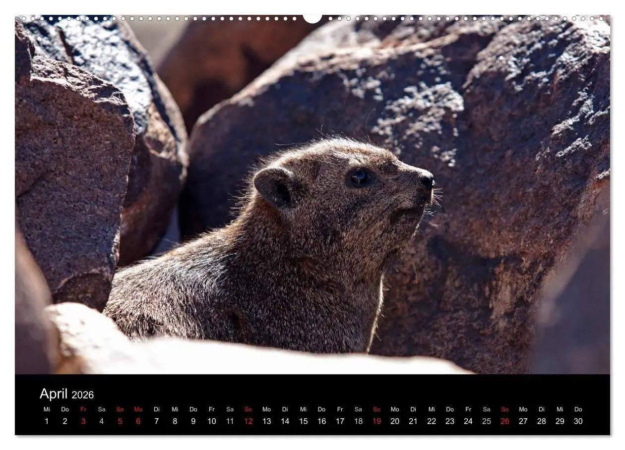 Bild: 9783516173963 | Namibia - Schöne Ansichten (hochwertiger Premium Wandkalender 2026...