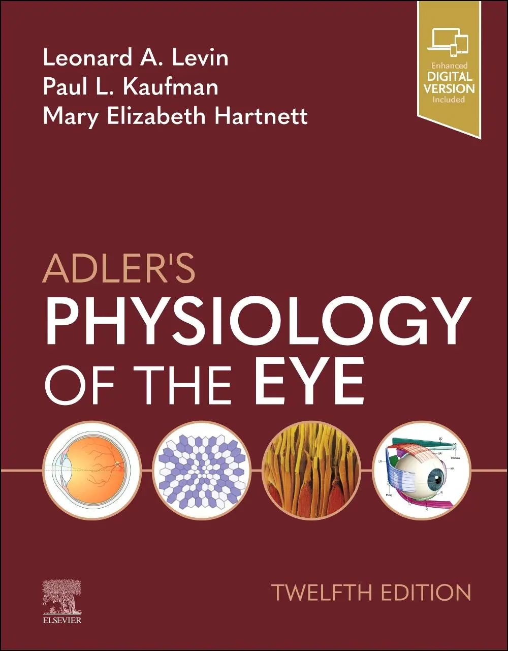 Cover: 9780323834063 | Adler's Physiology of the Eye | Leonard A Levin (u. a.) | Buch | 2024