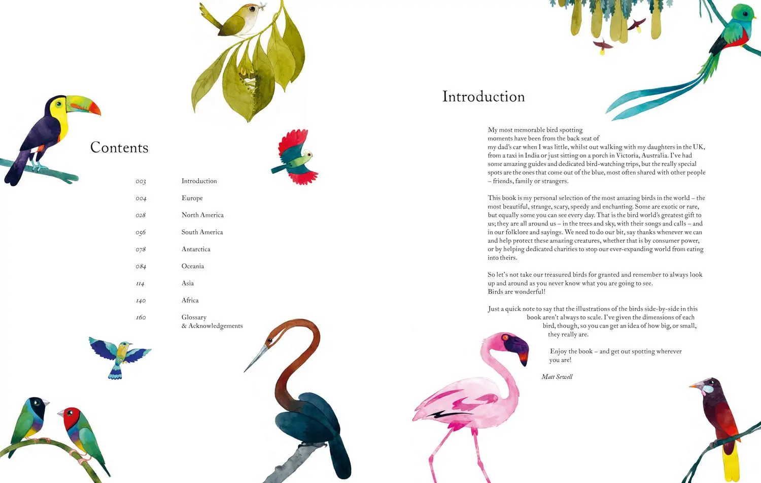 Bild: 9781843654063 | Atlas of Amazing Birds | Matt Sewell | Buch | Gebunden | Englisch