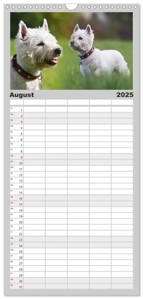 Bild: 9783457114063 | Familienplaner 2025 - West Highland White Terrier - Selbstbewustes...