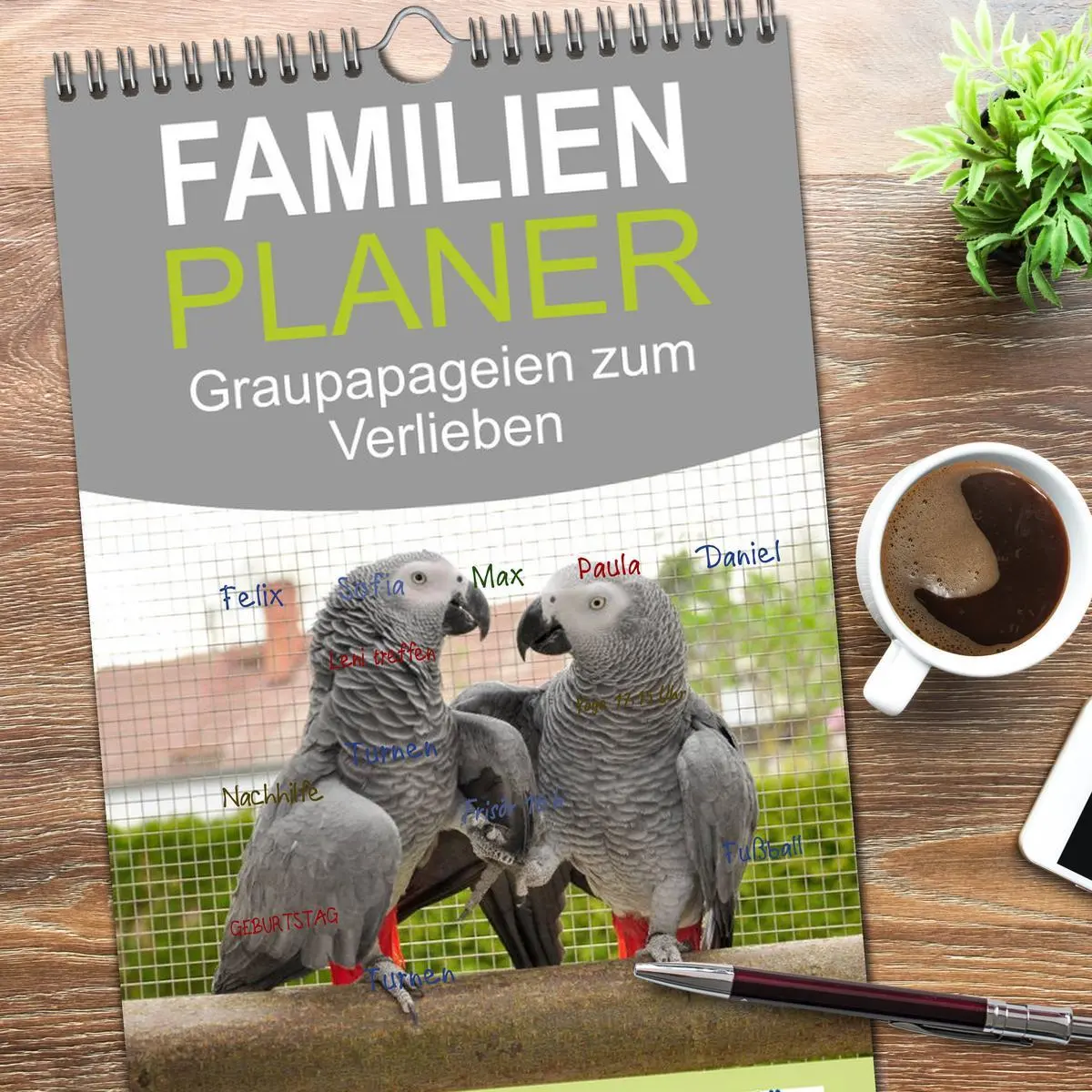 Bild: 9783516514063 | Familienplaner 2026 - Graupapageien zum Verlieben mit 5 Spalten...