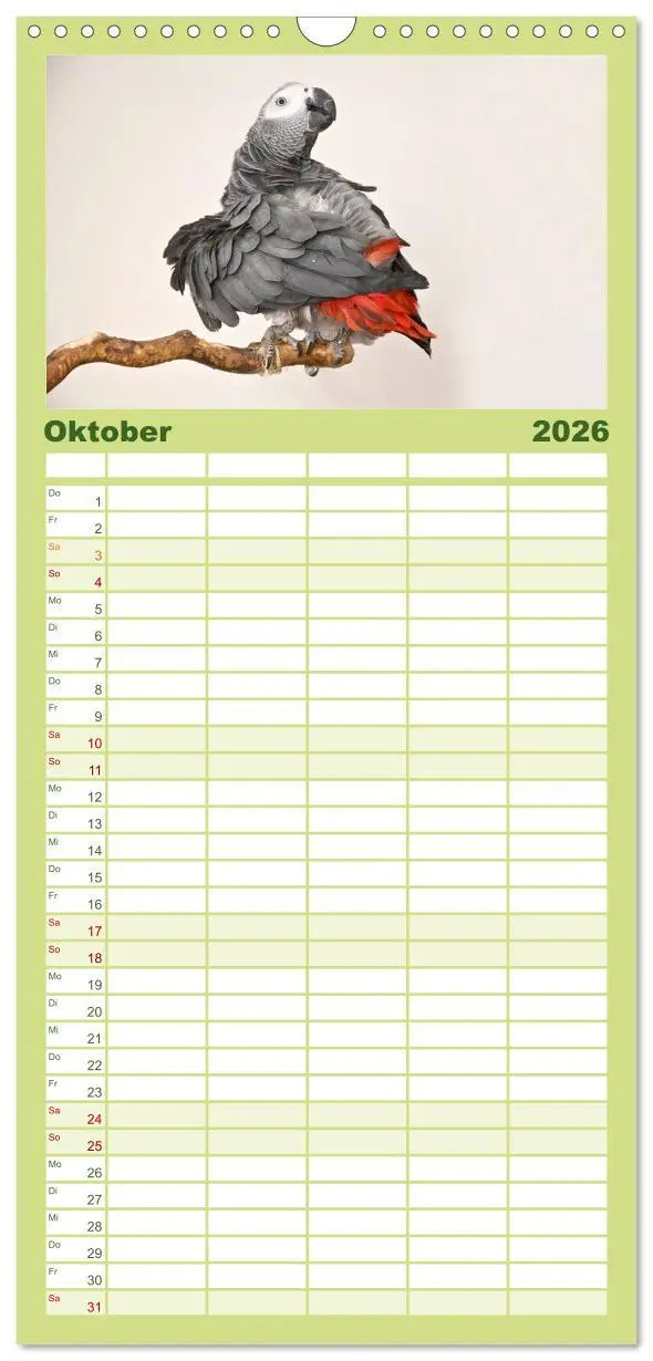 Bild: 9783516514063 | Familienplaner 2026 - Graupapageien zum Verlieben mit 5 Spalten...
