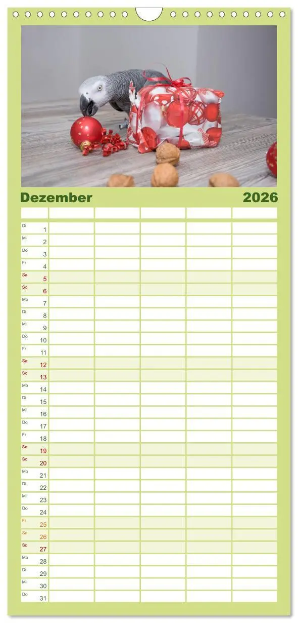 Bild: 9783516514063 | Familienplaner 2026 - Graupapageien zum Verlieben mit 5 Spalten...